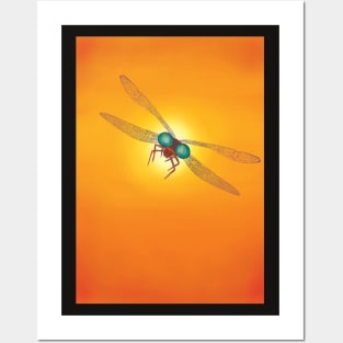 Dragonfly Eclipses the Sun Posters and Art